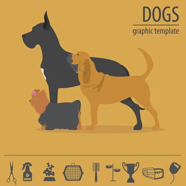 Dog info graphic template. Heatlh care, vet, nutrition, exhibiti — Stock Vector