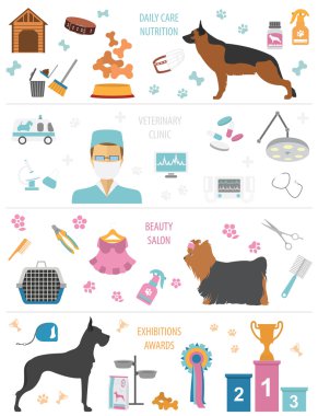 Köpek bilgi grafik şablonu. Heatlh bakım, veteriner, beslenme, exhibiti