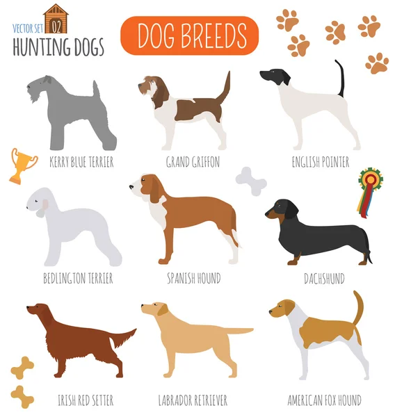 Razas de perros. Icono de juego de perros de caza. Estilo plano — Archivo Imágenes Vectoriales