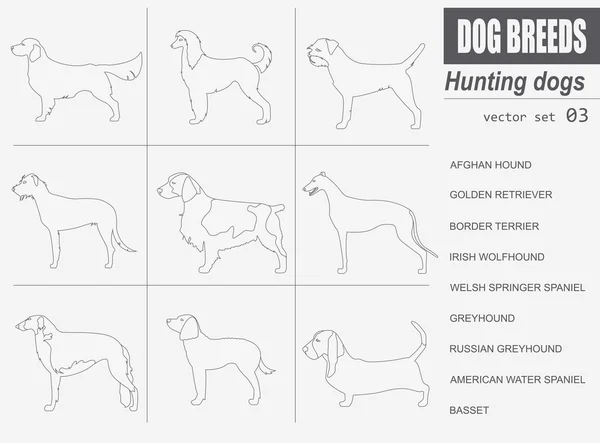 Raças de cães. Ícone de jogo de cão de caça. Estilo plano —  Vetores de Stock
