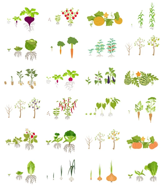 Obst und Gemüse. Ernährung. Symbolsatz — Stockvektor
