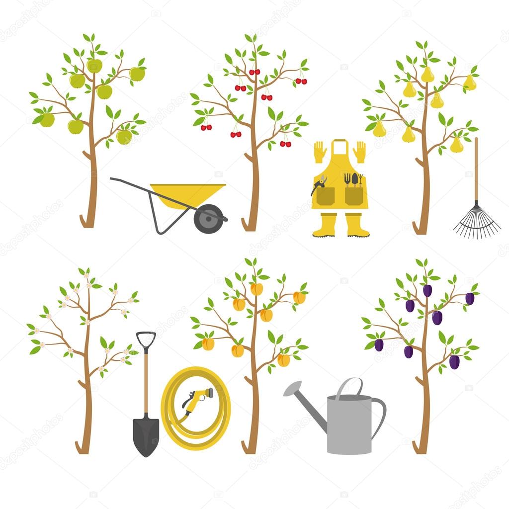 Drzewa owocowe. Ogród. Zestaw ikon — Grafika wektorowa © A7880S #112411020