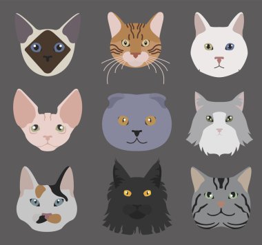 Kedi doğurmak simge kümesi düz stil