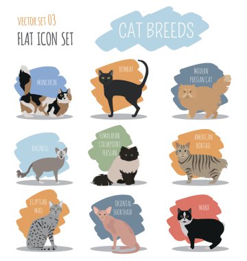 Cat breeds icon set flat style clipart