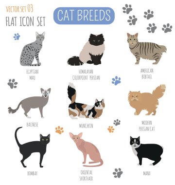 Kedi doğurmak simge kümesi düz stil