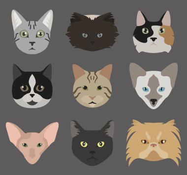Kedi doğurmak simge kümesi düz stil