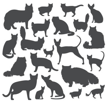Kedi doğurmak simge kümesi düz stil
