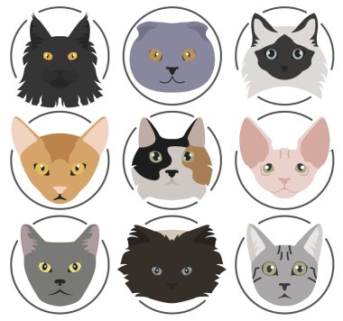 Kedi doğurmak simge kümesi düz stil