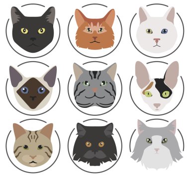 Kedi doğurmak simge kümesi düz stil