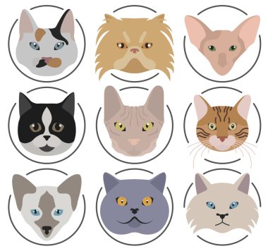 Kedi doğurmak simge kümesi düz stil