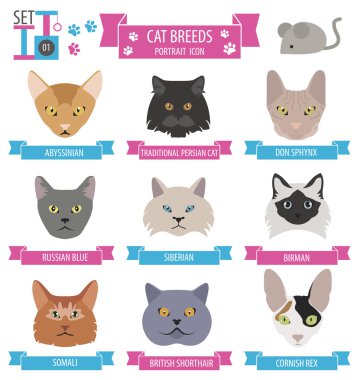 Kedi doğurmak simge kümesi düz stil