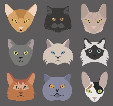 Kedi doğurmak simge kümesi düz stil
