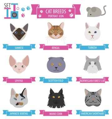 Cat breeds icon set flat style clipart