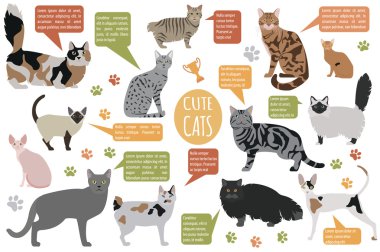 Cat characters and vet care icon set flat style clipart