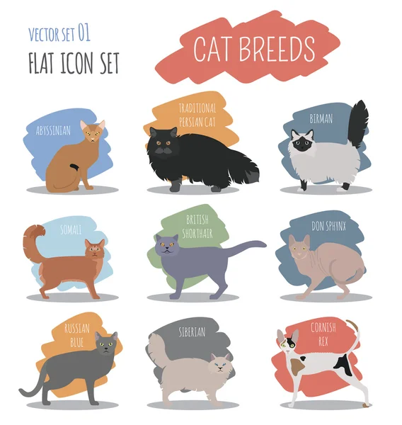 Gato razas icono conjunto plano estilo — Vector de stock