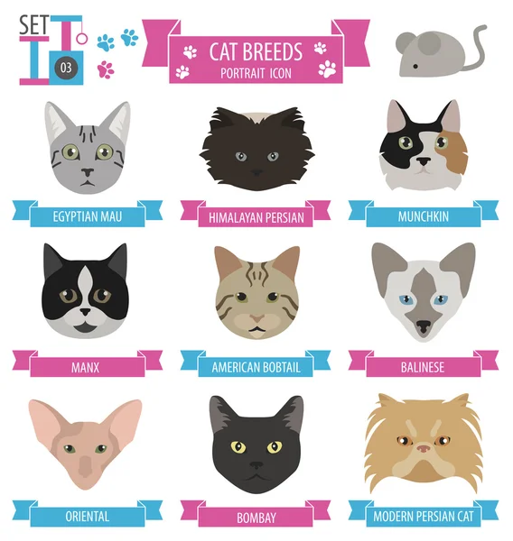Gato razas icono conjunto plano estilo — Archivo Imágenes Vectoriales