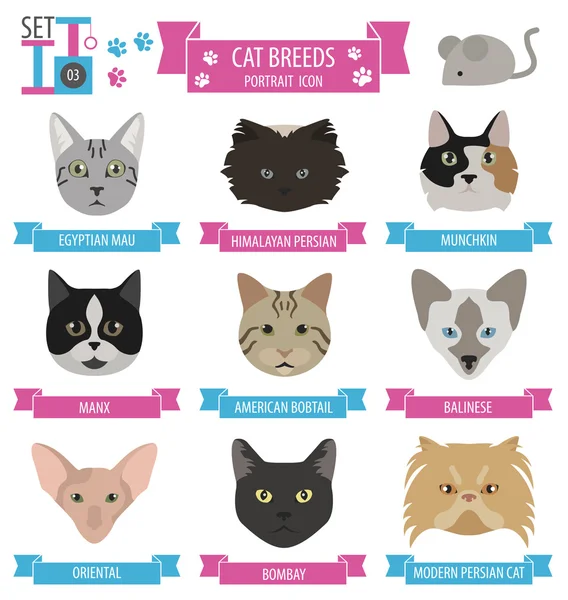 Kedi doğurmak simge kümesi düz stil