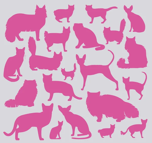 Katzenrassen-Ikone setzt flachen Stil — Stockvektor