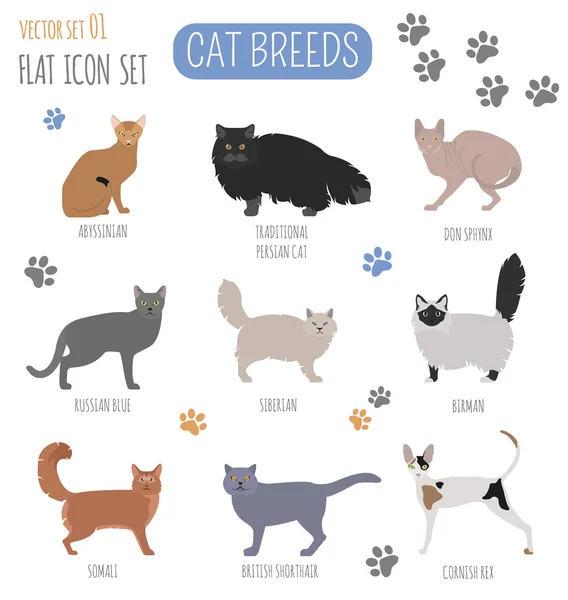 Gato razas icono conjunto plano estilo — Vector de stock