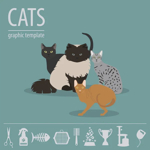 Personajes de gato e icono de cuidado veterinario conjunto de estilo plano — Vector de stock