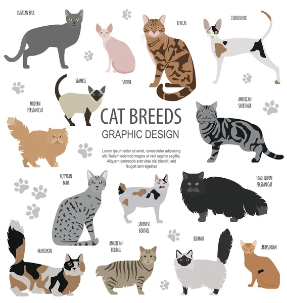 Personajes de gato e icono de cuidado veterinario conjunto de estilo plano — Vector de stock