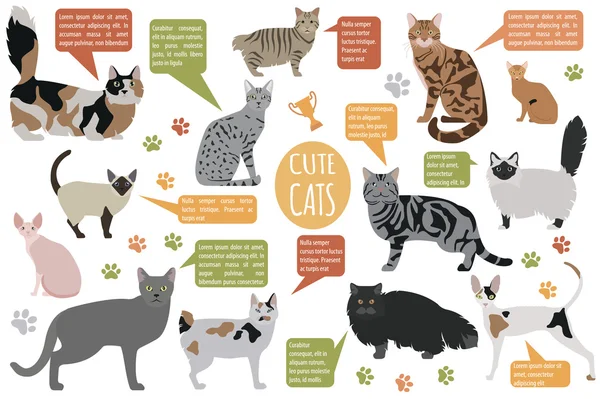 Personajes de gato e icono de cuidado veterinario conjunto de estilo plano — Archivo Imágenes Vectoriales