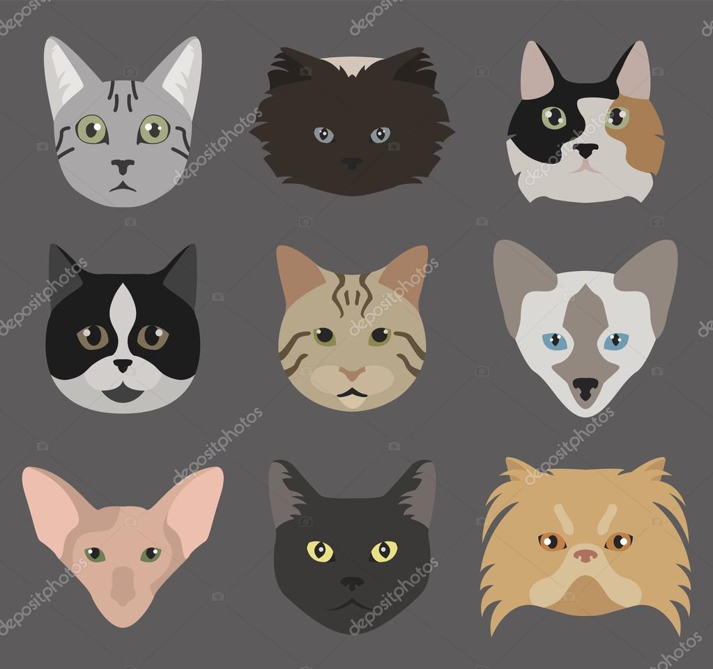 Set Of Cute Cats Icons, Vector Flat Illustrations. Animals Breeds