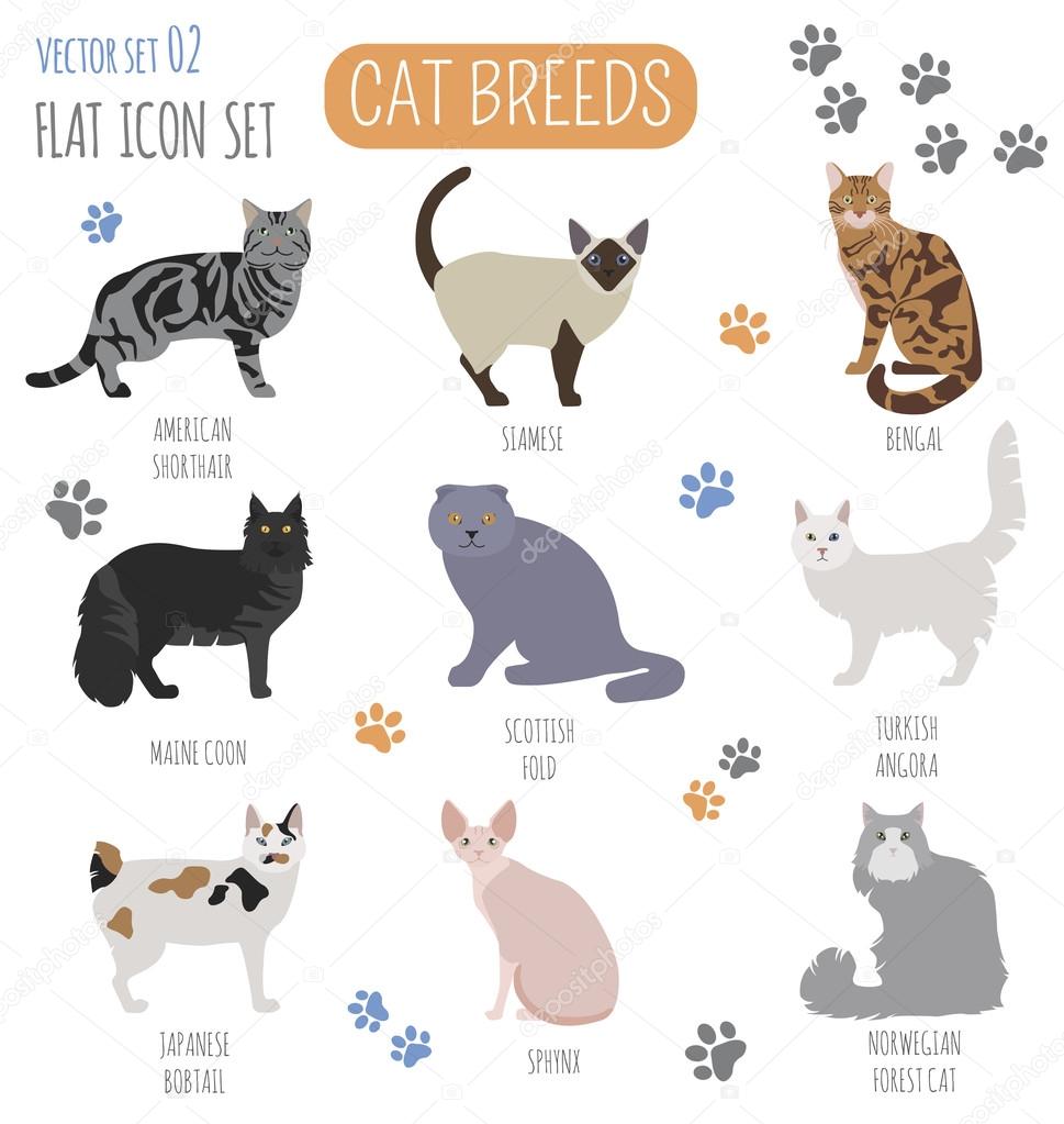 Cat icon set in flat style. vector illustration