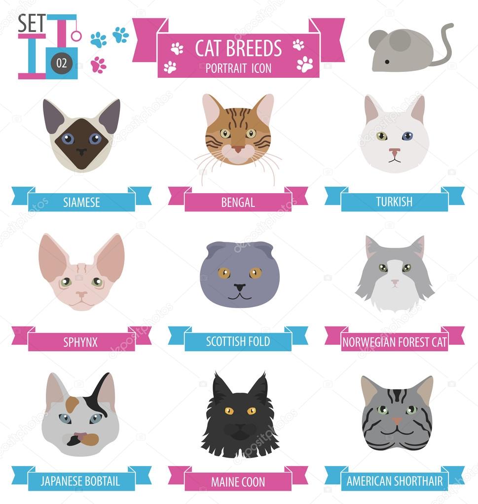 Cat icon set in flat style. vector illustration
