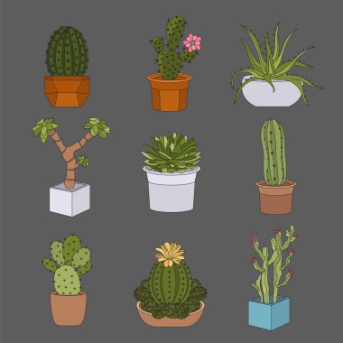 Kaktüsler ve succulents Icon set. Houseplants