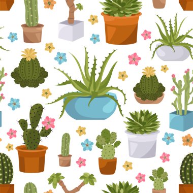 Kaktüsler ve succulents seamless modeli. Houseplants