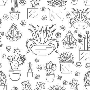 Kaktüsler ve succulents seamless modeli. İnce çizgili Tema