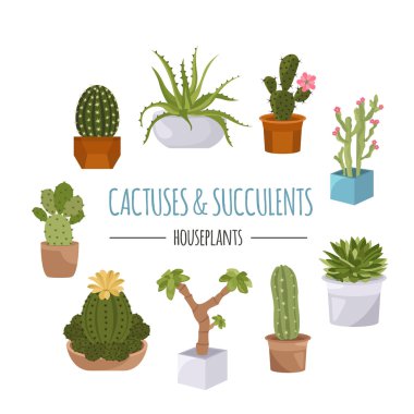 Kaktüsler ve succulents Icon set. Houseplants