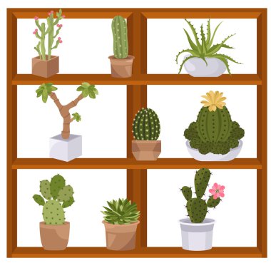 Kaktüsler ve succulents Icon set. Houseplants