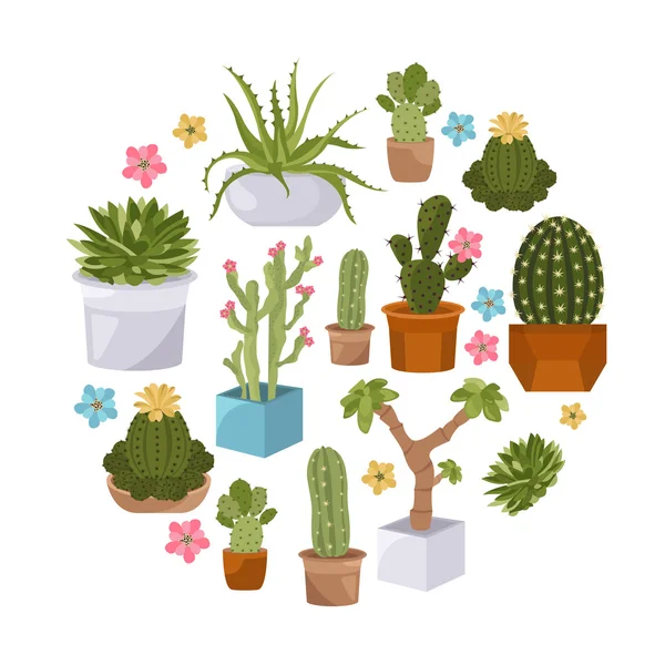 Cactussen en vetplanten pictogramserie. Kamerplanten — Stockvector