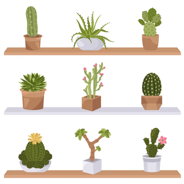 Kaktusy i sukulenty zestaw ikon. Rośliny doniczkowe — Wektor stockowy