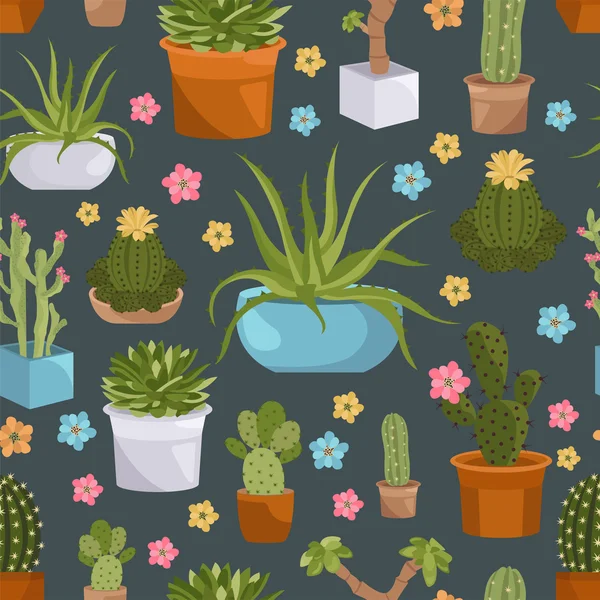 Cactuses and succulents seamless pattern. Houseplants — Stock Vector