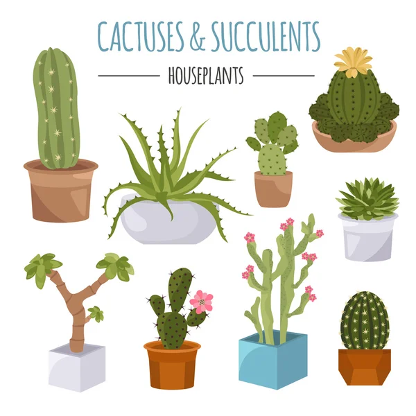 Cactuses and succulents icon set. Houseplants — Stock Vector