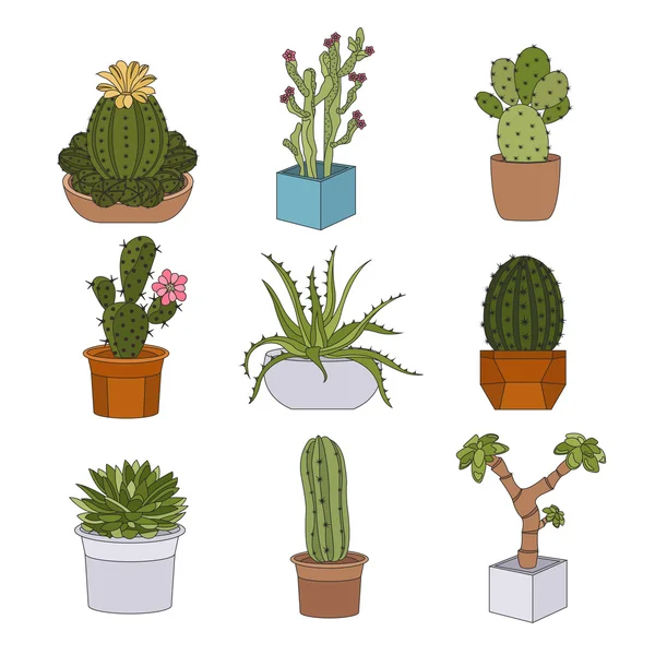 Cactussen en vetplanten pictogramserie. Kamerplanten — Stockvector