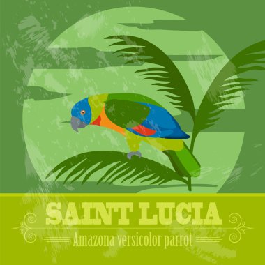 Saint Lucia ulusal sembolleri. Amazona versicolor papağan. Retro s