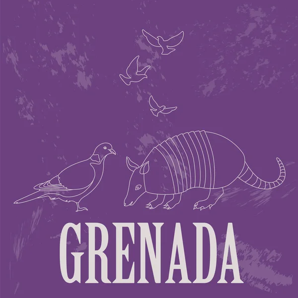 Grenada national symbols. Antillean Armadillo, Grenadian pigeon, — Stock Vector