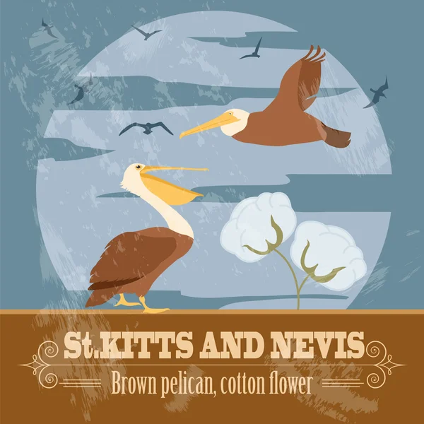 Saint Kitts and Nevis national symbols. Brown pelican, cotton fl — Stock Vector