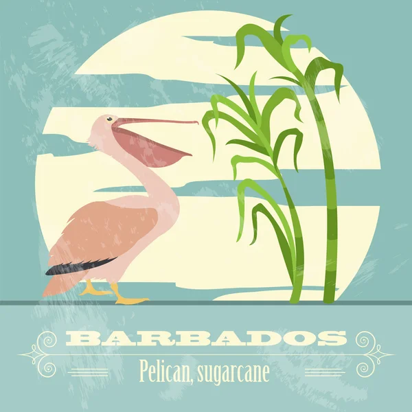Barbados nemzeti szimbólumok. Pelikán, cukornád. Retro stílusú imag — Stock Vector