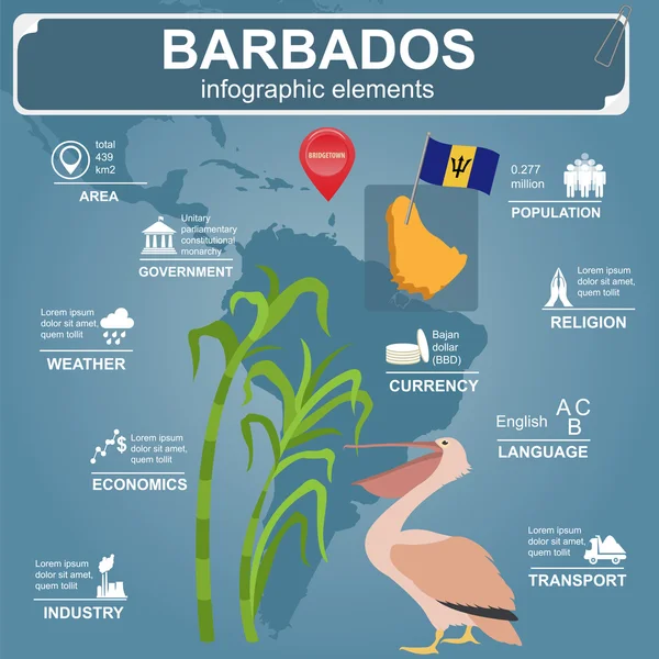 Barbados infographics, statistische gegevens, bezienswaardigheden. Pelikaan, sugarc — Stockvector