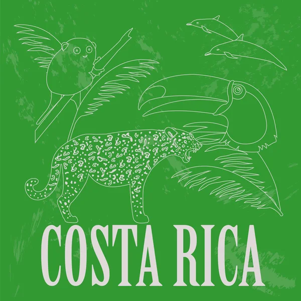 Costa Rica símbolos nacionales. Delfines, jaguar, tucán, lémur. RED — Vector de stock