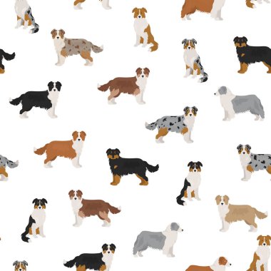 Avustralyalı çoban köpeği kusursuz desen. Farklı renk palto çeşitleri. Vektör illüstrasyonu