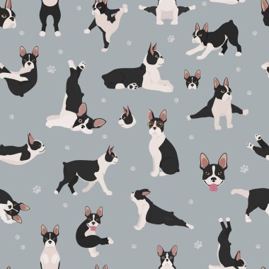 Boston Teriyeri kusursuz desen. Köpek sağlıklı siluet ve yoga arka planda kalıyor. Vektör illüstrasyonu