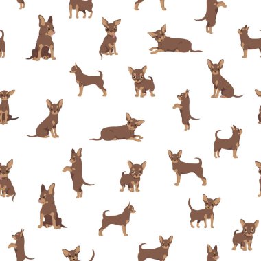 Chihuahua pürüzsüz deseni. Köpek sağlıklı siluet ve farklı pozlar. Vektör illüstrasyonu