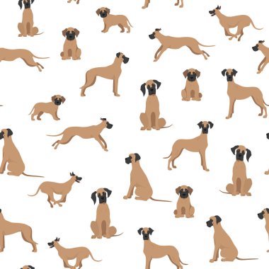 Great dane seamless pattern. Different variaties of coat color dog set.  Vector illustration clipart