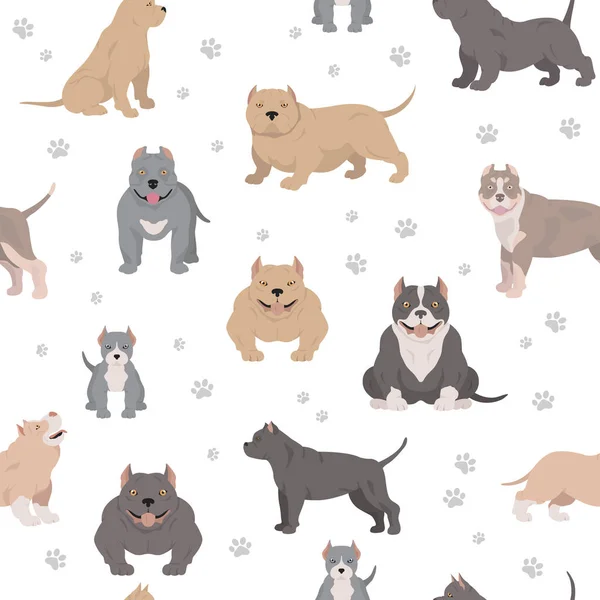 Αμερικάνικα Σκυλιά Νταήδες Ποικιλίες Χρωμάτων Διαφορετικές Πόζες Απρόσκοπτο Μοτίβο Εικονογράφηση — Διανυσματικό Αρχείο